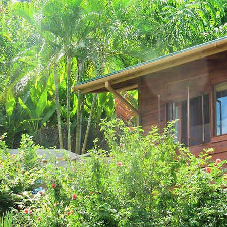 דירות Castara Retreats חדר תמונה
