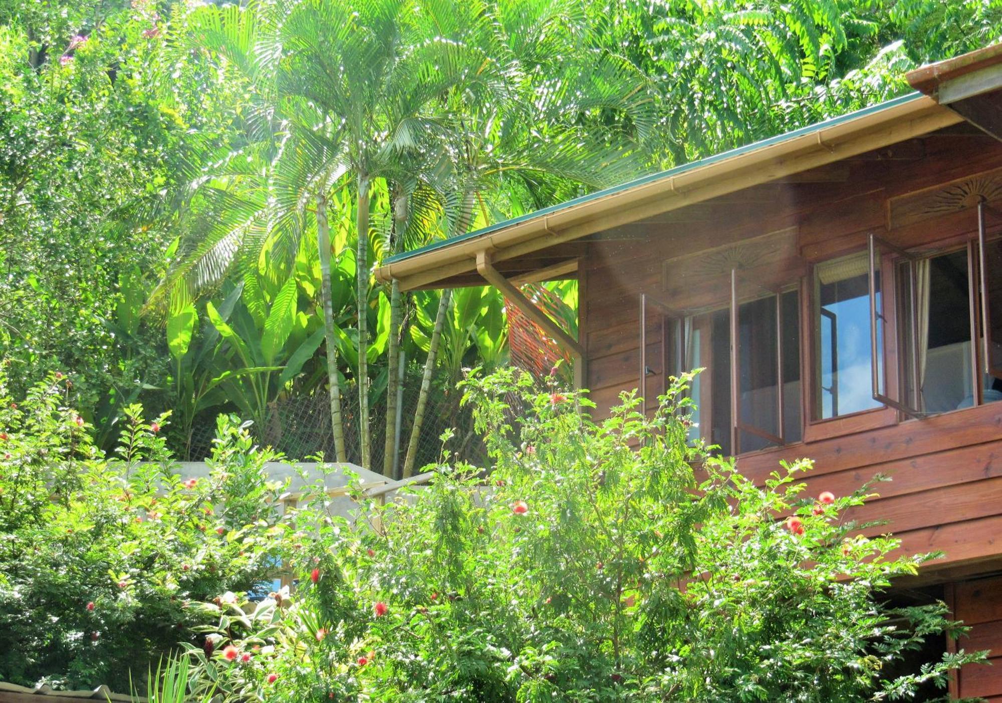 דירות Castara Retreats חדר תמונה